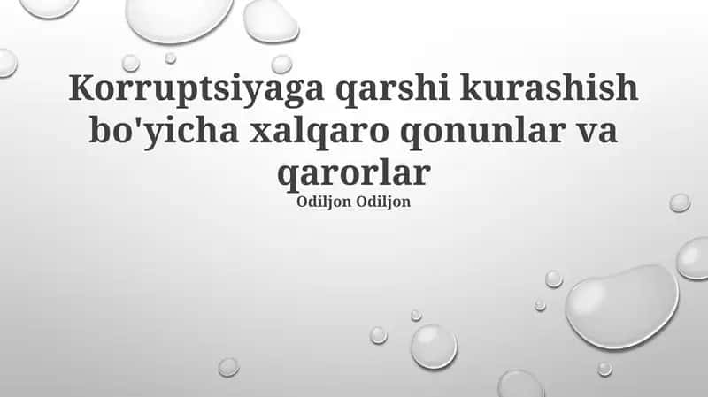Korruptsiyaga qarshi kurashish bo'yicha xalqaro qonunlar va qarorlar 1