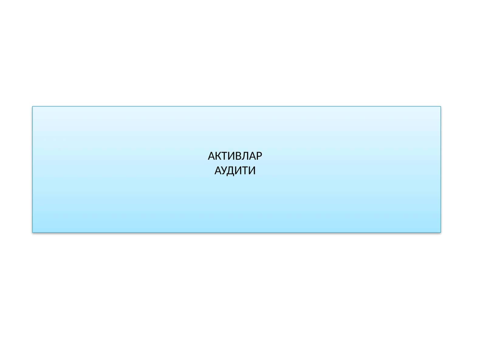 АКТИВЛАР АУДИТИ 1