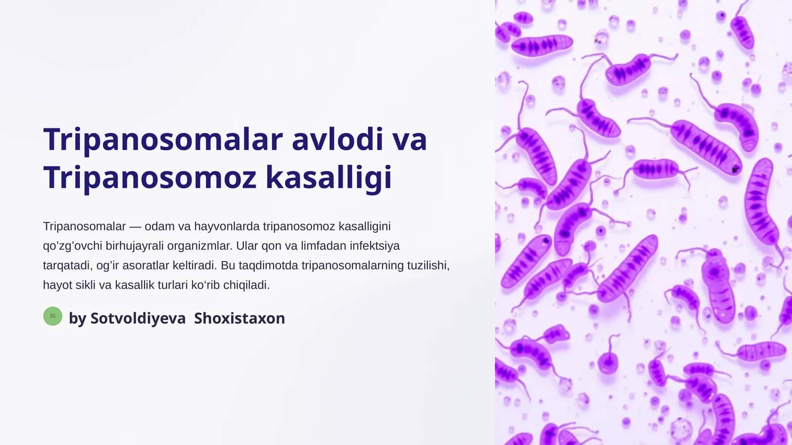 Tripanosomalar avlodi va Tripanosomoz kasalligi 1