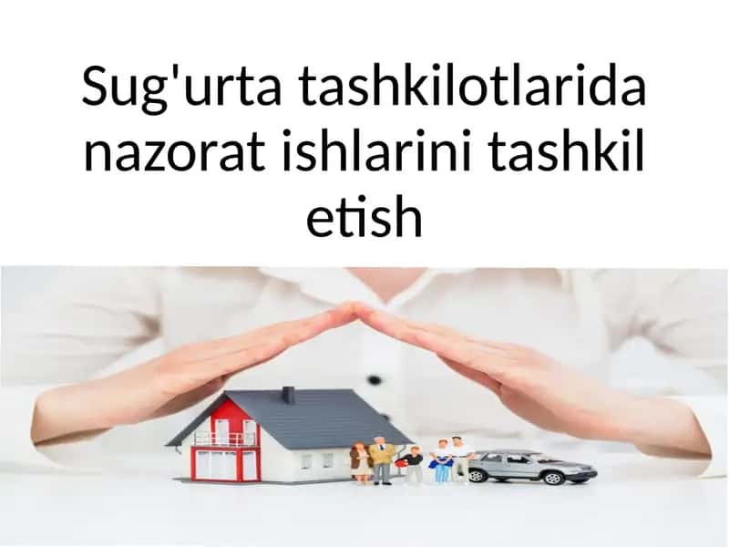Sug'urta tashkilotlarida nazorat ishlarini tashkil etish 1