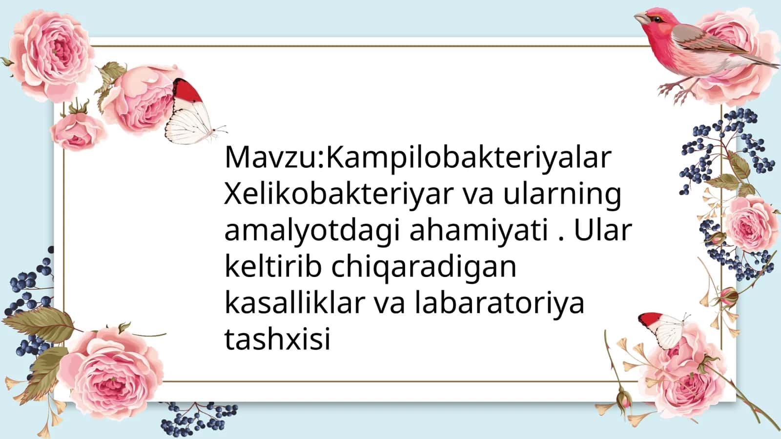 Kampilobakteriyalar va xelikobakteriyalarningumumiy tavsifi 1