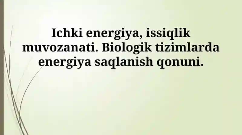 Ichki energiya va termal muvozanat