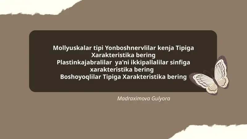 Mollyuskalar tipi Yonboshnervlilar kenja Tipiga Xarakteristika bering 1