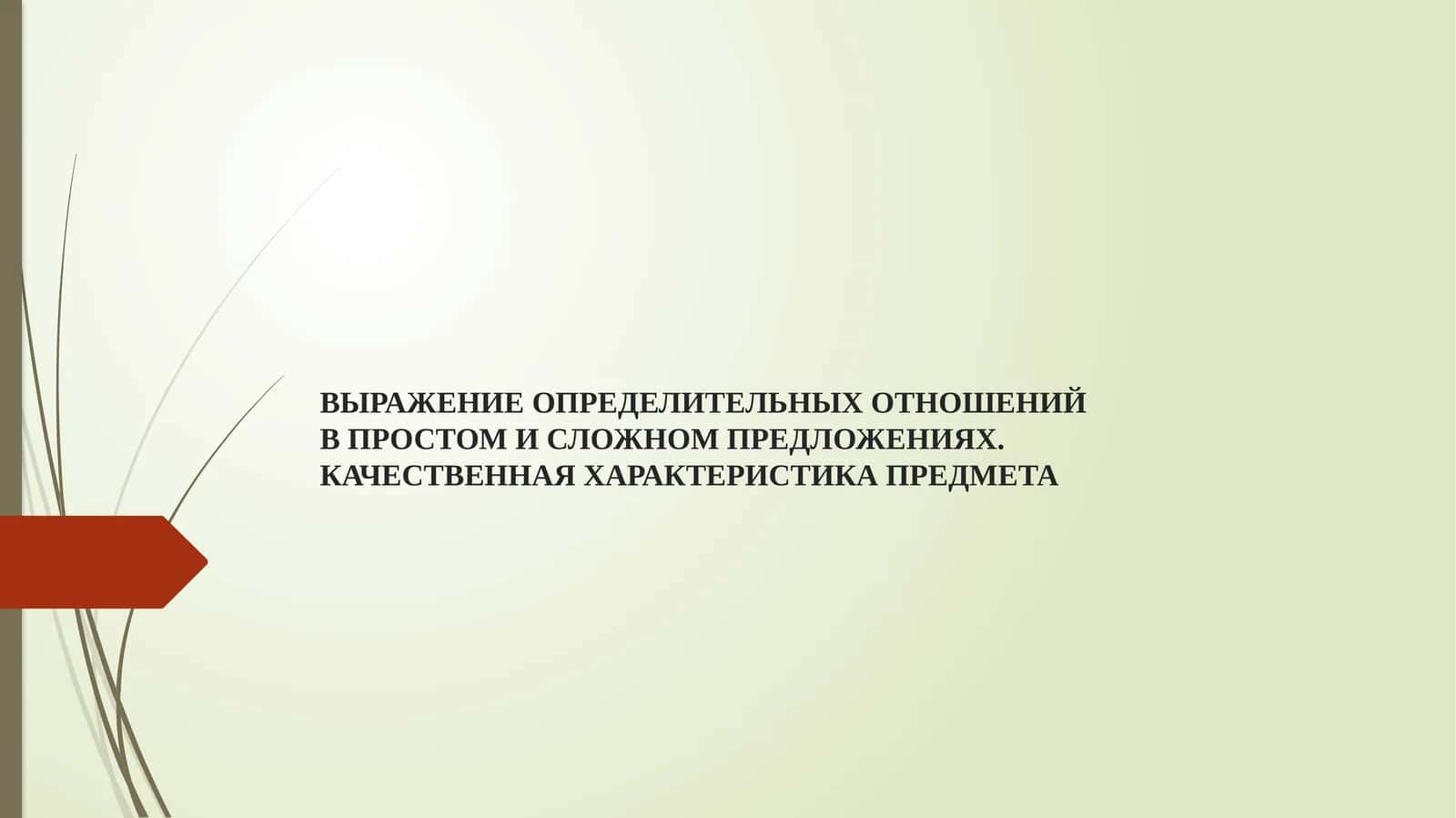 ВЫРАЖЕНИЕ ОПРЕДЕЛИТЕЛЬНЫХ ОТНОШЕНИЙ В ПРОСТОМ И СЛОЖНОМ ПРЕДЛОЖЕНИЯХ. КАЧЕСТВЕННАЯ ХАРАКТЕРИСТИКА ПРЕДМЕТА 1