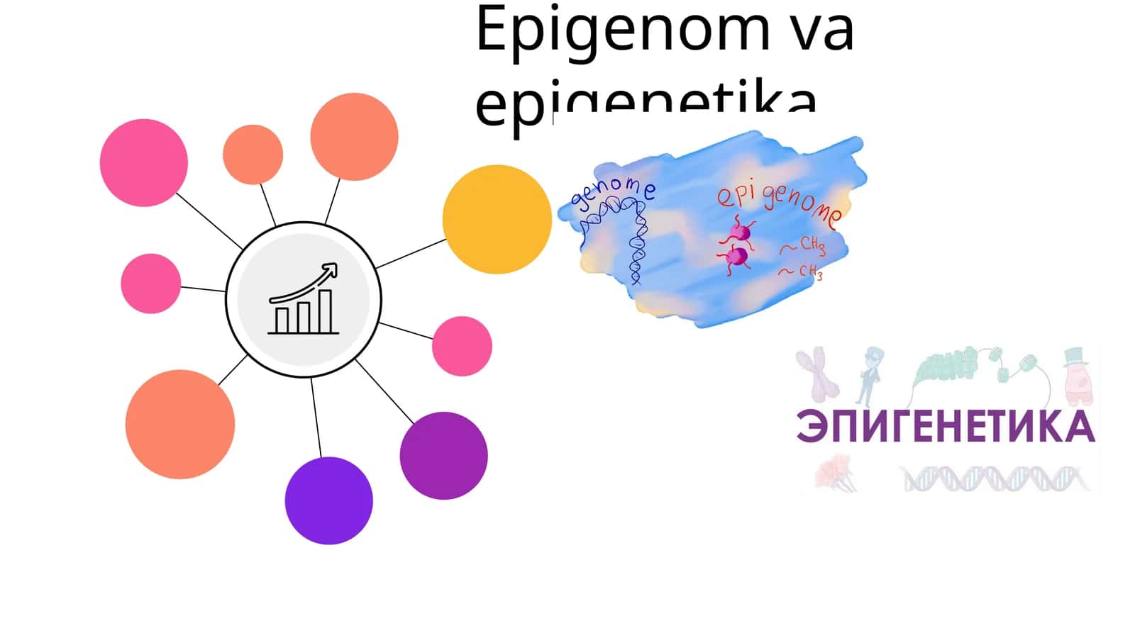 Epigenom va epigenetika 1