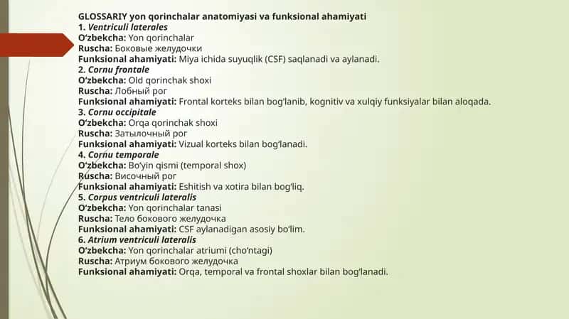 GLOSSARIY yonqorincha anatomiyasi va funksional ahamiyati 1