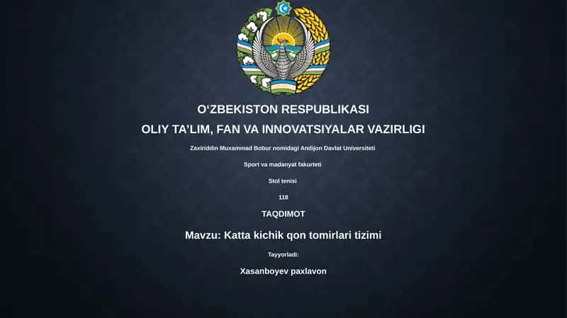 Katta kichik qon tomirlari tizimi 1