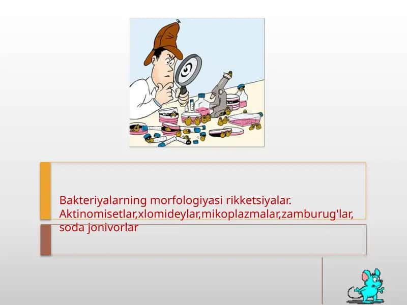 Bakteriyalarning morfologiyasi rikketsiyalar. 1