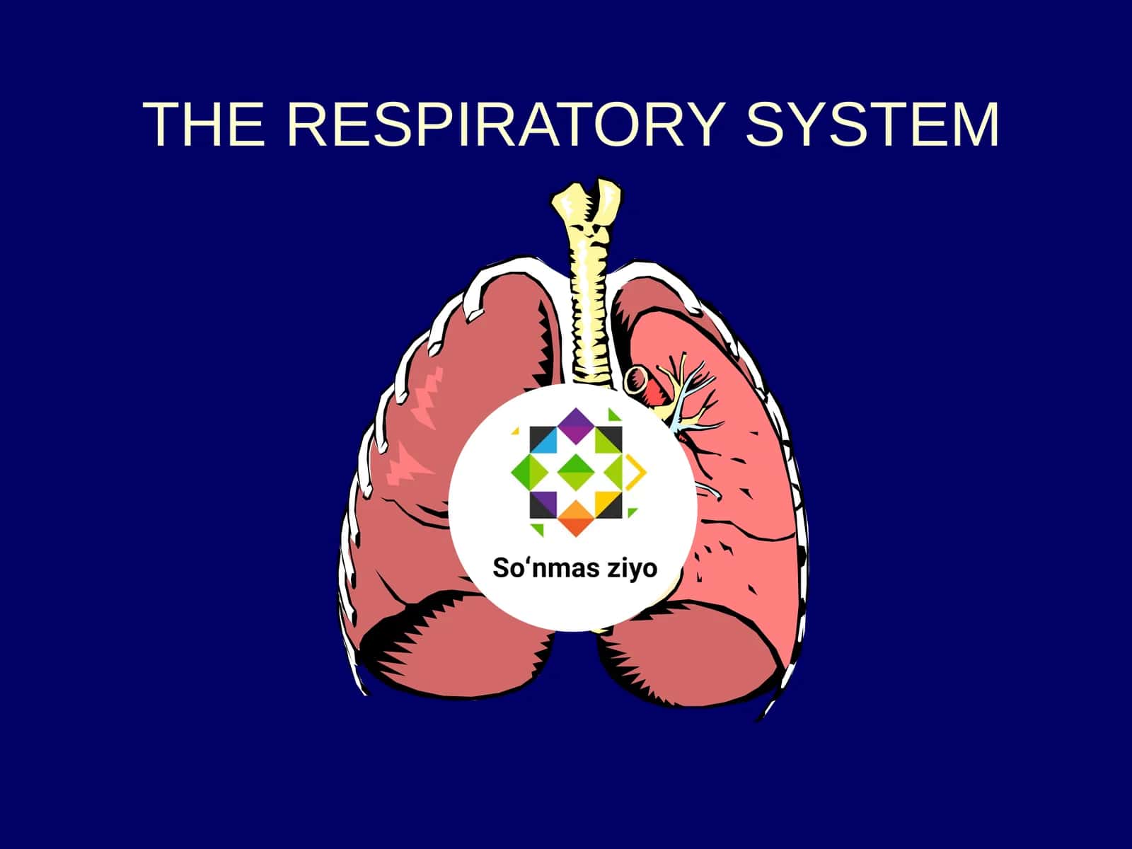 THE RESPIRATORY SYSTEM 1