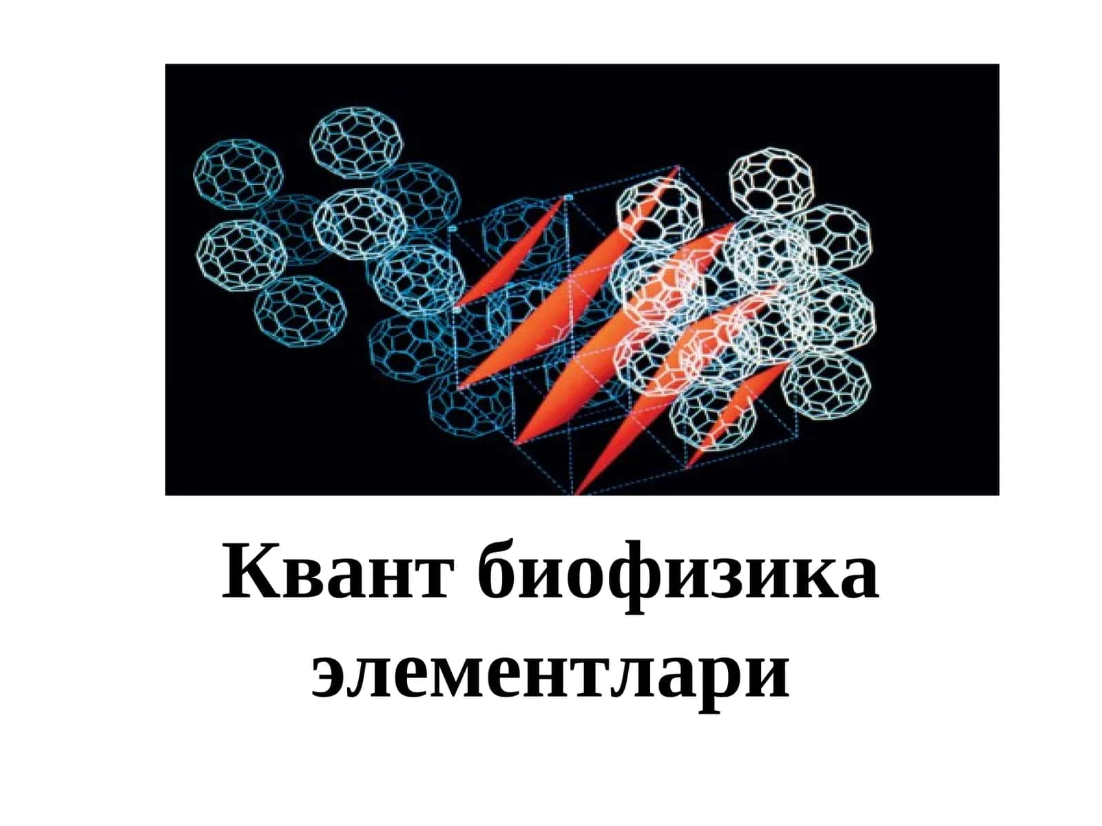 Квант биофизика элементлари 1