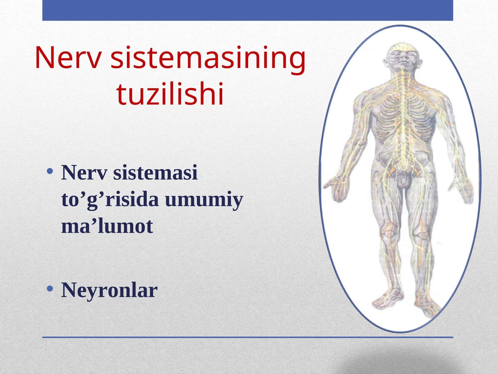 Neyronlar 1
