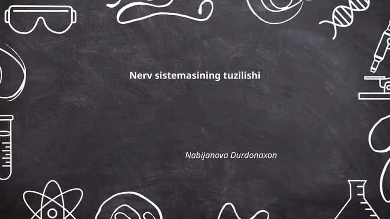 Nerv sistemasining tuzilishi 1