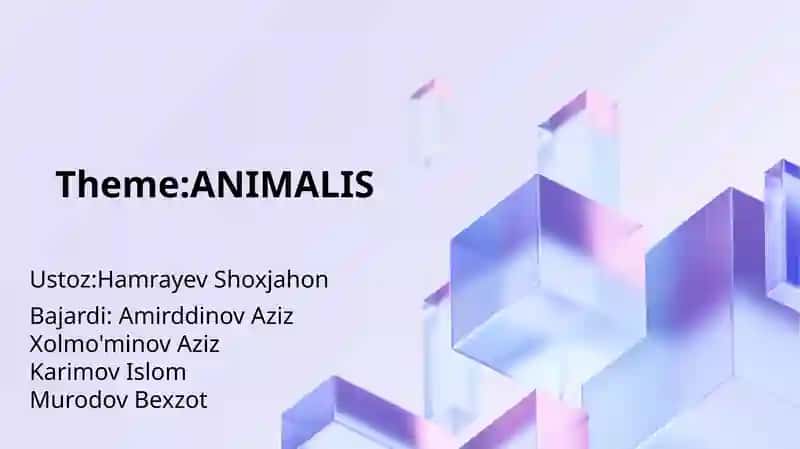 Animalis