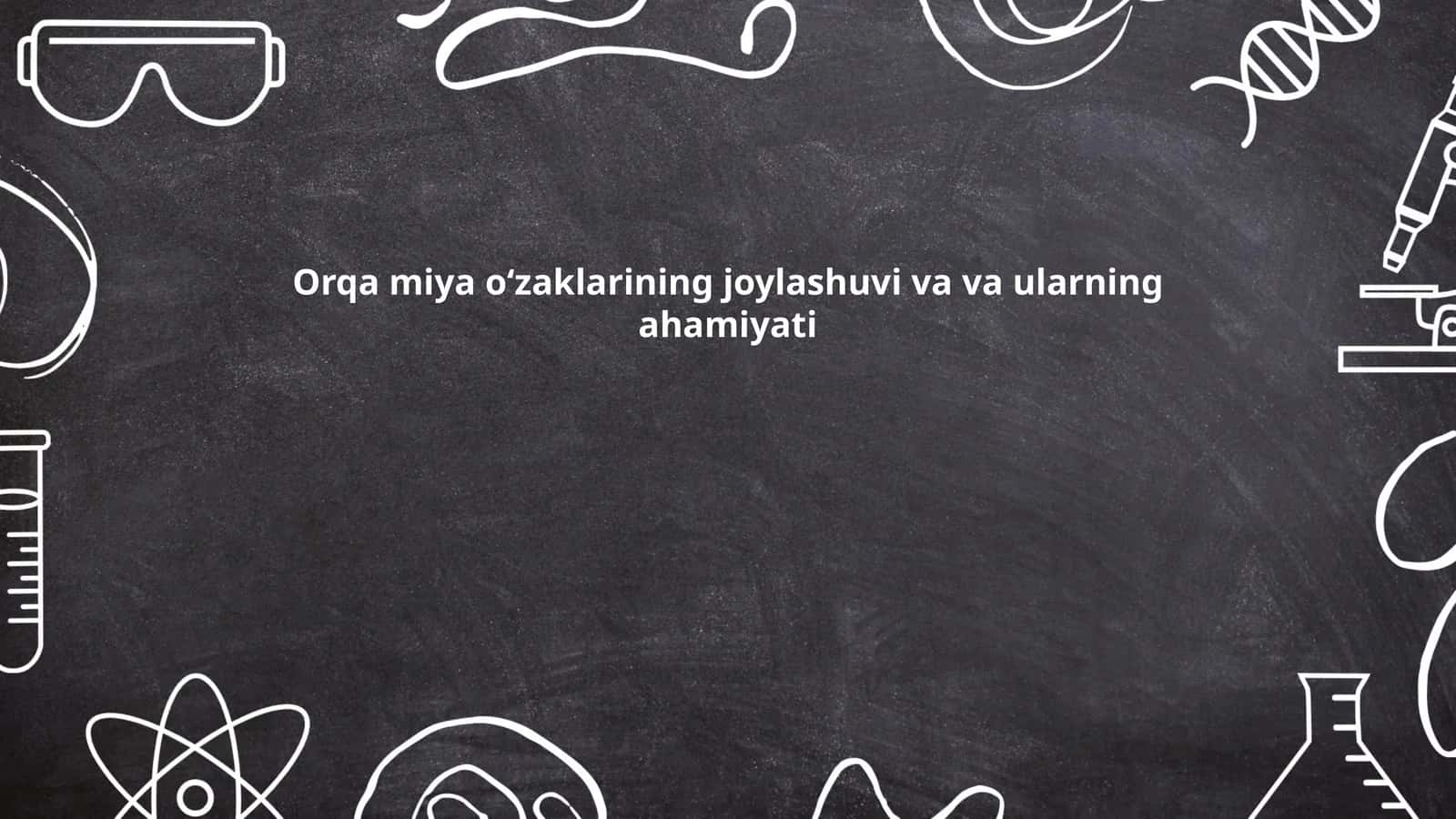 Orqa miya oʻzaklarining anatomik tuzilishi 1