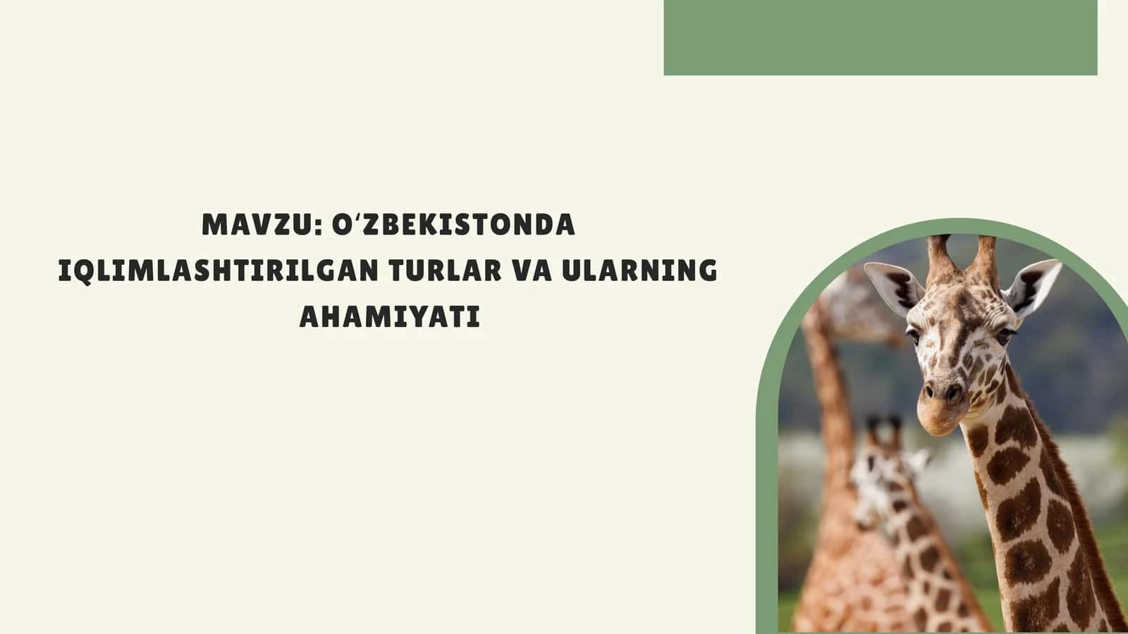 OʻZBEKISTONDA IQLIMLASHTIRILGAN TURLAR VA ULARNING AHAMIYATI 1