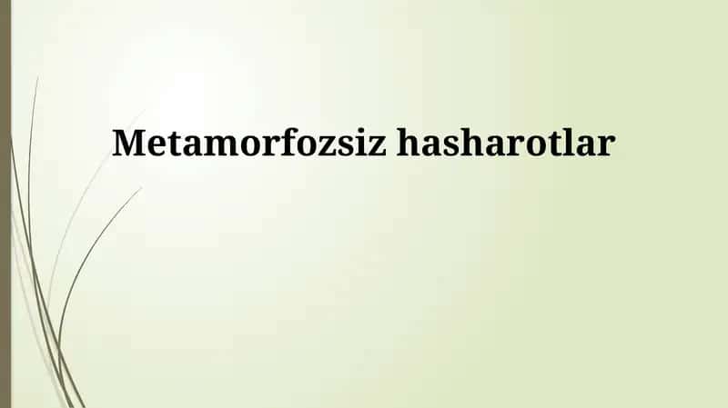 Metamorfoz 1