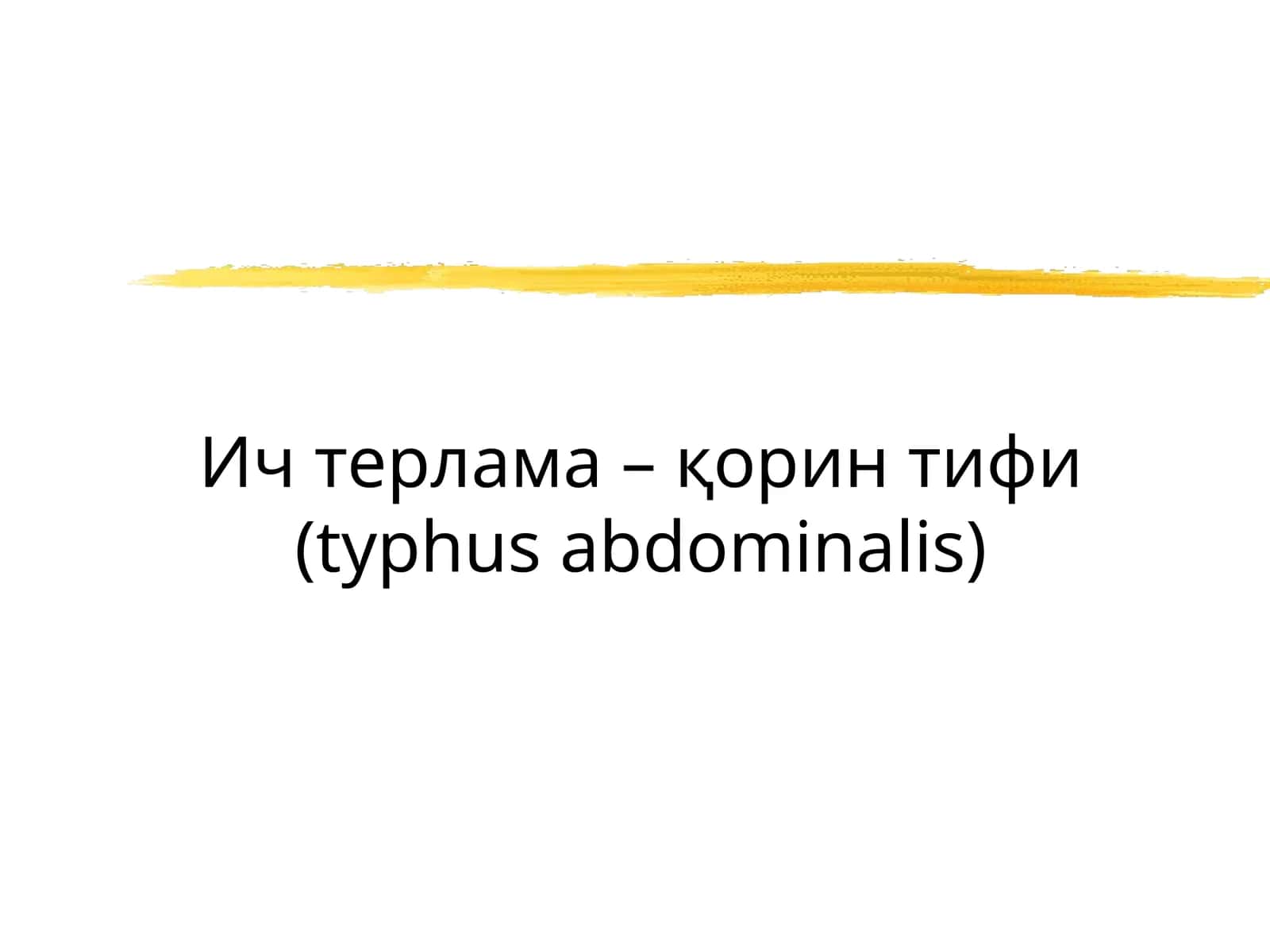 Корин тифи (typhus abdominalis) 1