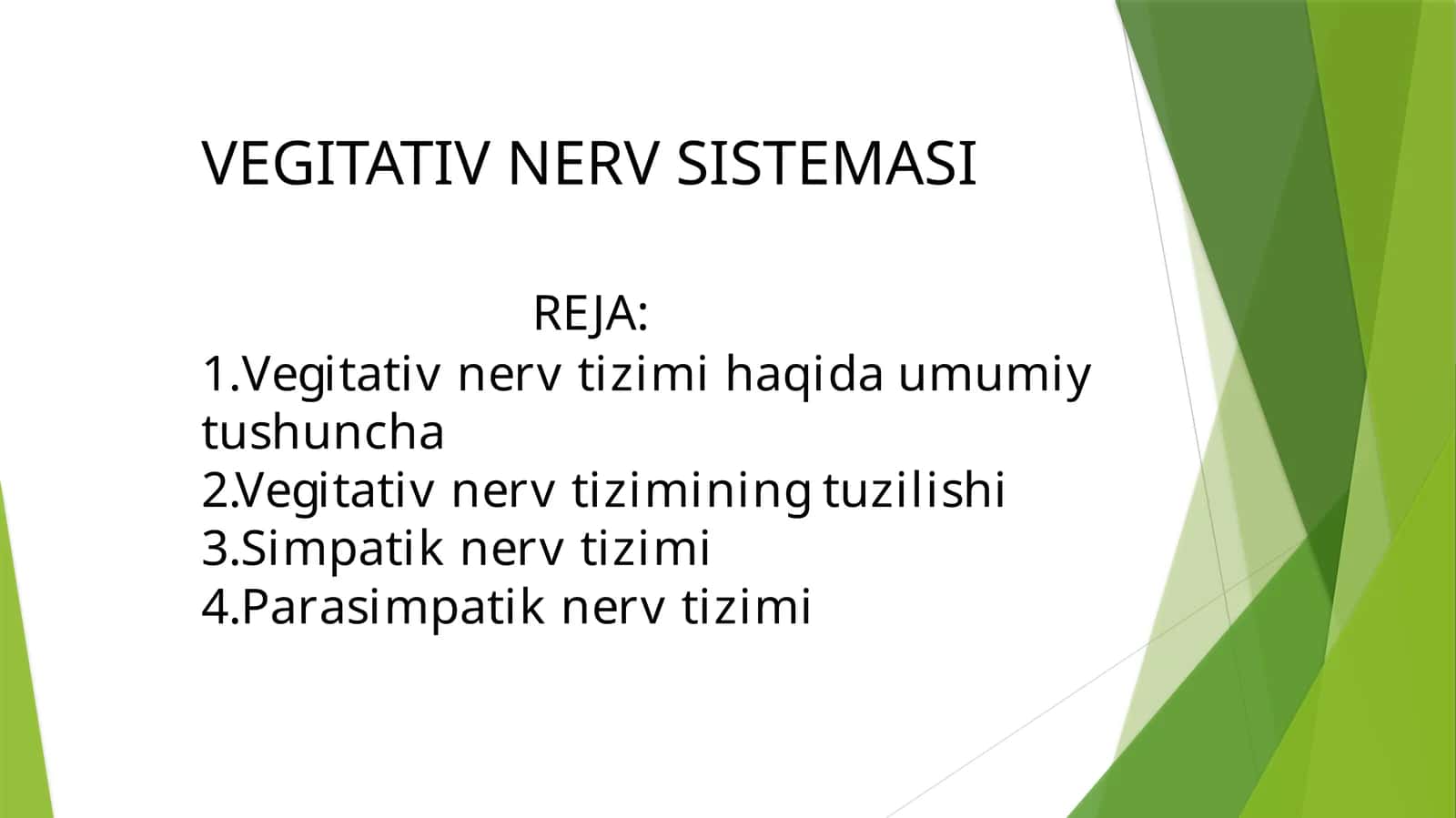 Vegetativ nerv tizimi 1