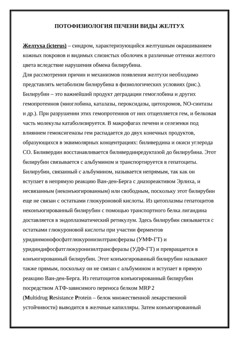 Потофизиология печени виды желтух 1