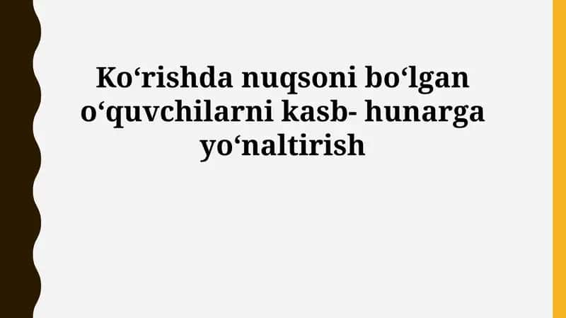 Ko'rish qobiliyati cheklangan o'quvchilar uchun kasbiy yo'nalish 1