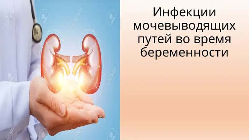 Инфекции мочевыводящих путей во время беременности 1