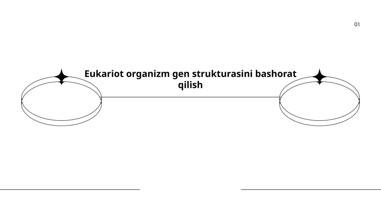 Eukariot organizm gen strukturasini bashorat qilish 1