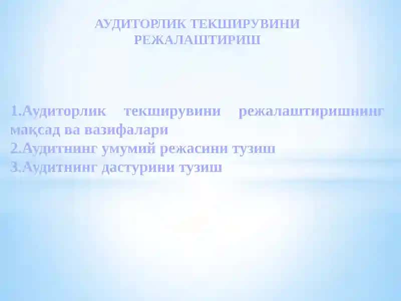 Auditorlik tekshiruvini rejalashtirish