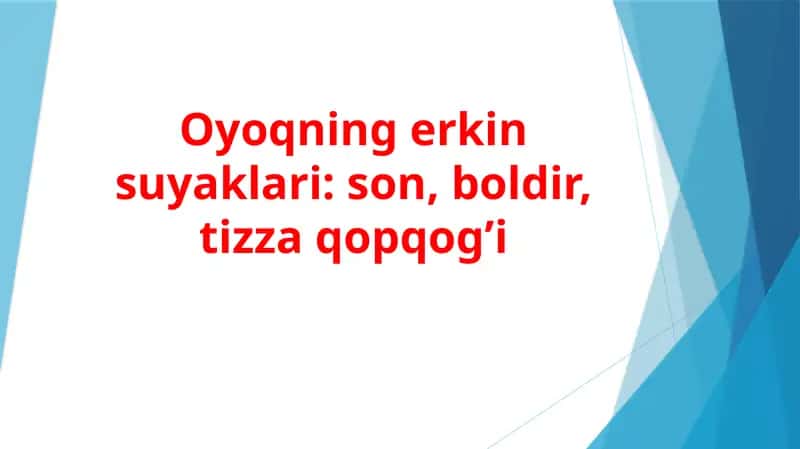 Oyoqning erkin suyaklari son, boldir, tizza qopqog’i 1