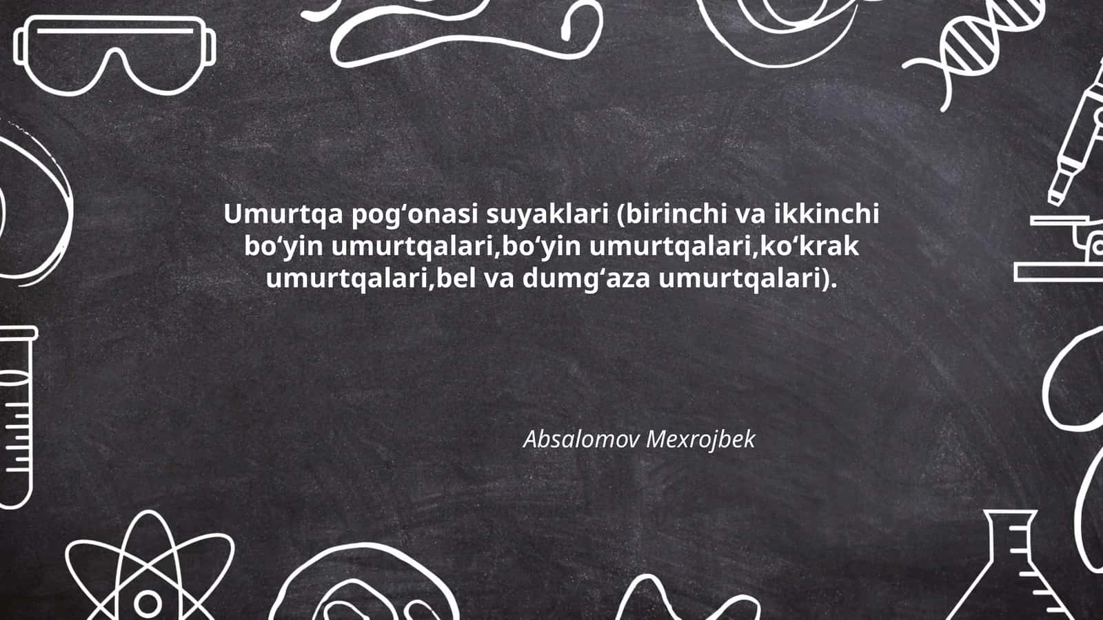 Umurtqa pogʻonasi suyaklari (birinchi va ikkinchi boʻyin umurtqalari,boʻyin umurtqalari,koʻkrak umurtqalari,bel va dumgʻaza umurtqalari) 1