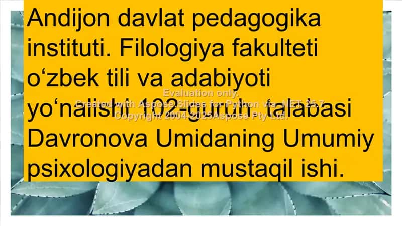 Maktabgacha yosh davrida psixik rivojlanish xususiyatlari 1