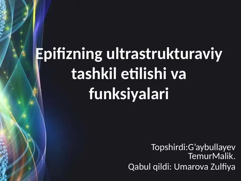 Epifizning ultrastruktura viy tashkili shivafunksiyalari 1