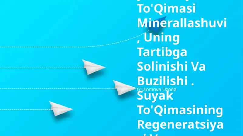 Suyak To'Qimasi Minerallashuvi, Uning Tartibga Solinishi Va Buzilishi 1