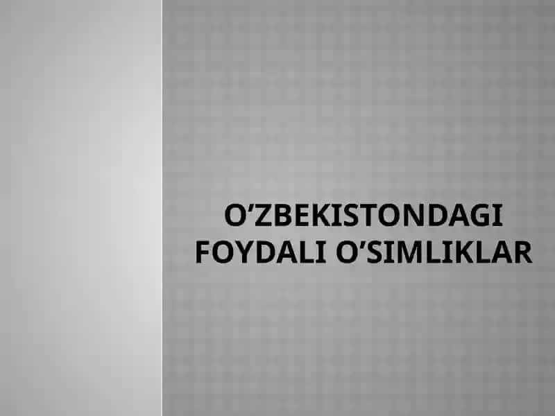 O'zbekistondagi foydali o'simliklar