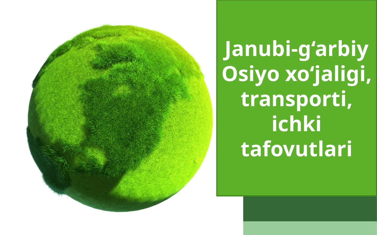 Janubi-g‘arbiy Osiyo xo‘jaligi, transporti, ichki tafovutlari 1