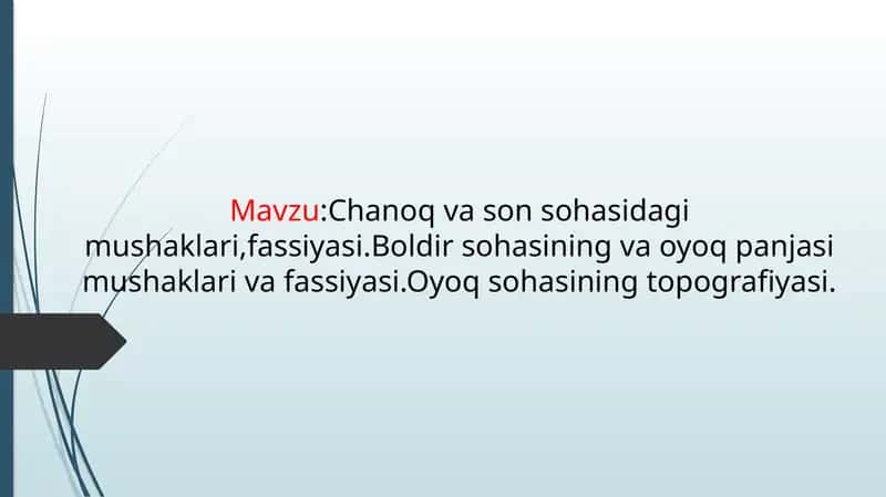 Chanoq va son sohasidagi mushaklari,fassiyasi.Boldir sohasining va oyoq panjasi mushaklari va fassiy 1