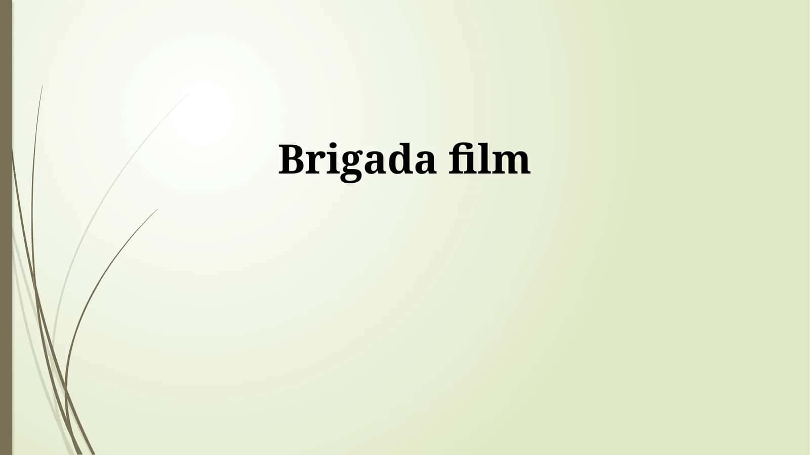 Brigada film 1