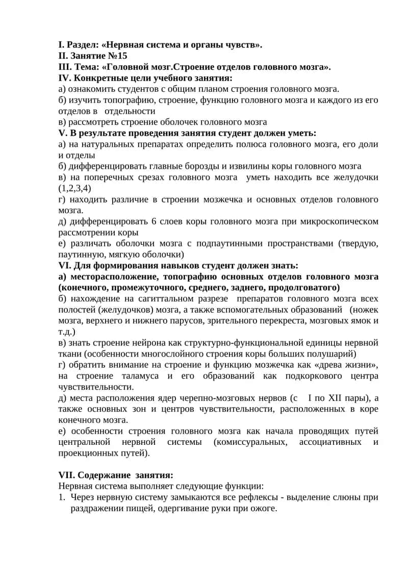 "Головной мозг. Строение отделов головного мозга" 1