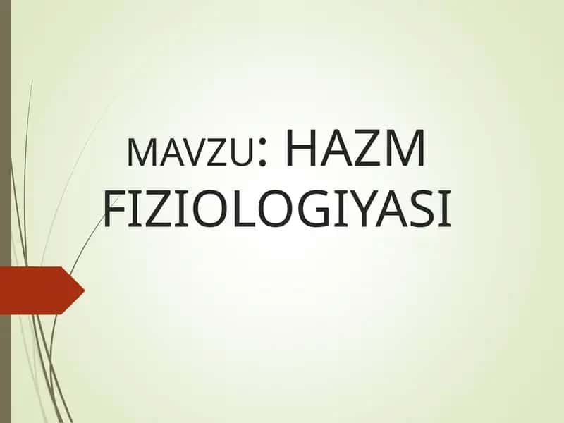 HAZM FIZIOLOGIYASI 1