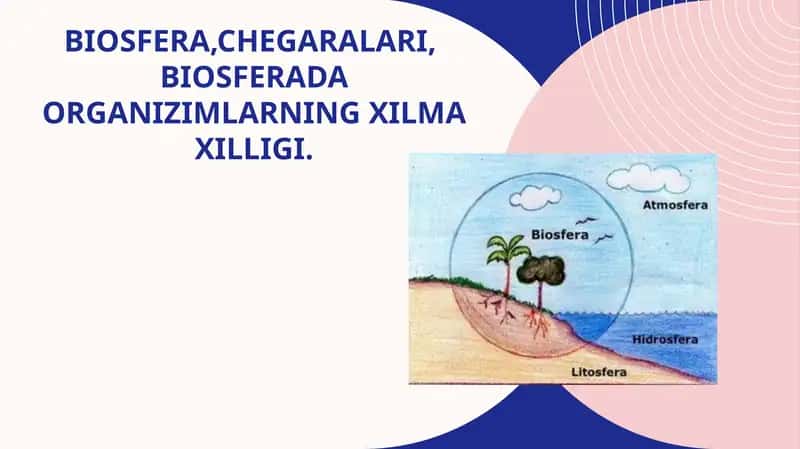 Biosfera,chegaralari,  biosferada organizimlarning xilma xilligi. 1