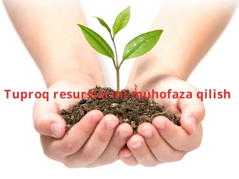 Tuproq resurslarini muhofaza qilish 1