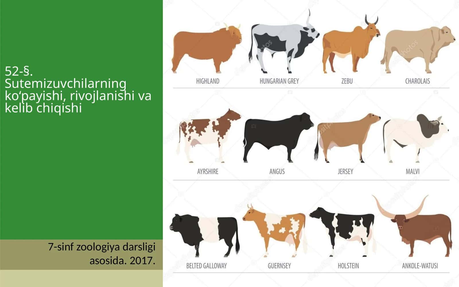 7-sinf Zoologiya 'Sutemizuvchilarning ko'payishi, rivojlanishi va kelib chiqishi' ko'rgazma 1