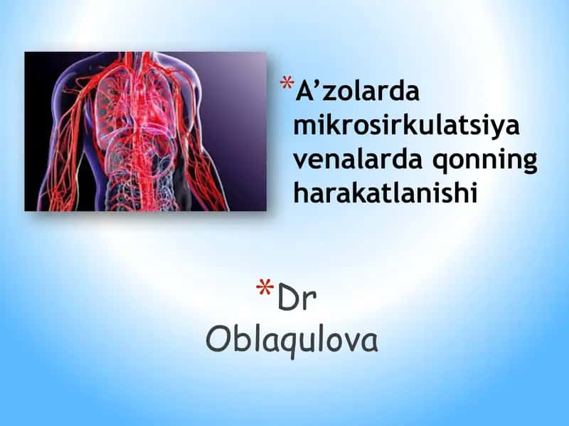 A’zolarda mikrosirkulatsiya venalarda qonning harakatlanishi 1