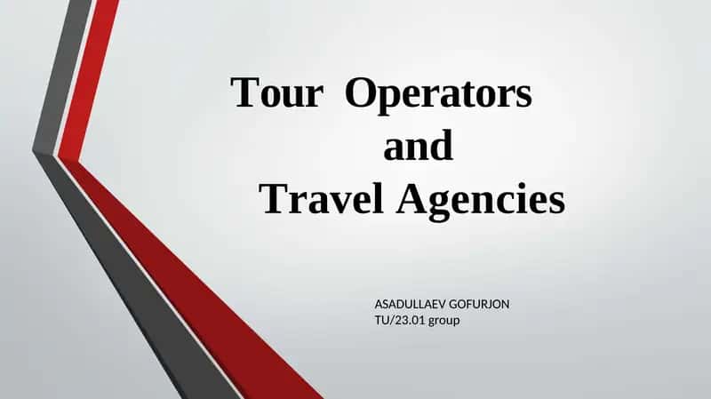 Tour Operators and Travel Agencies 1