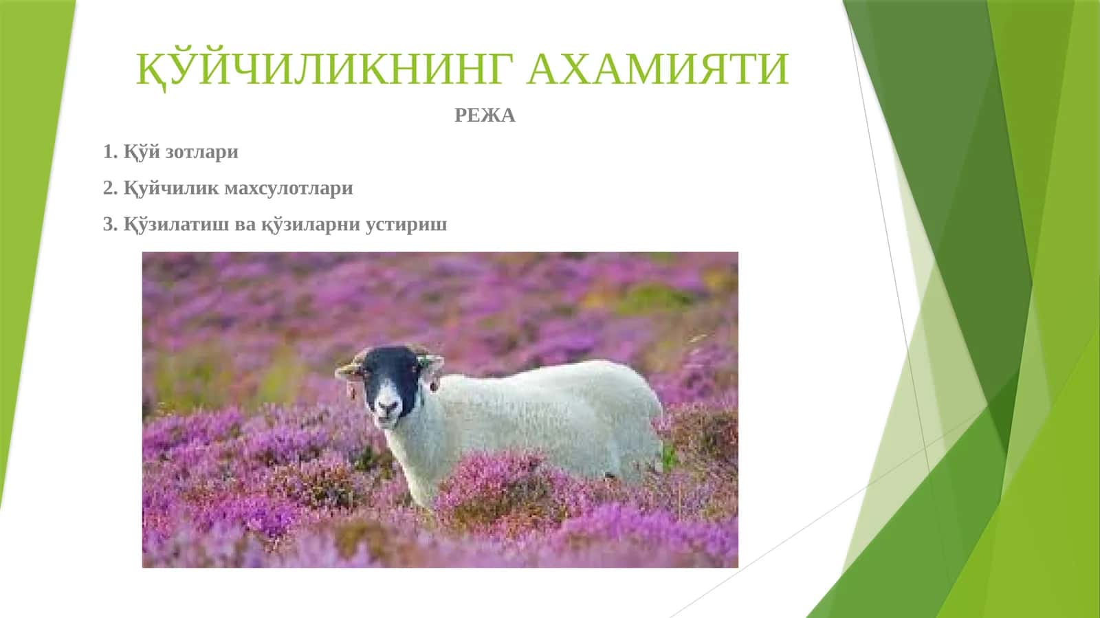 ҚЎЙЧИЛИКНИНГ АХАМИЯТИ 1