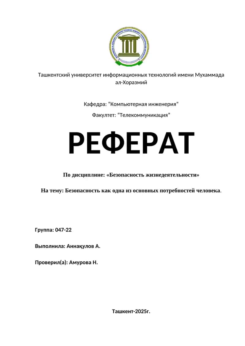 Реферат: Безопасность как одна из основных потребностей человека 1