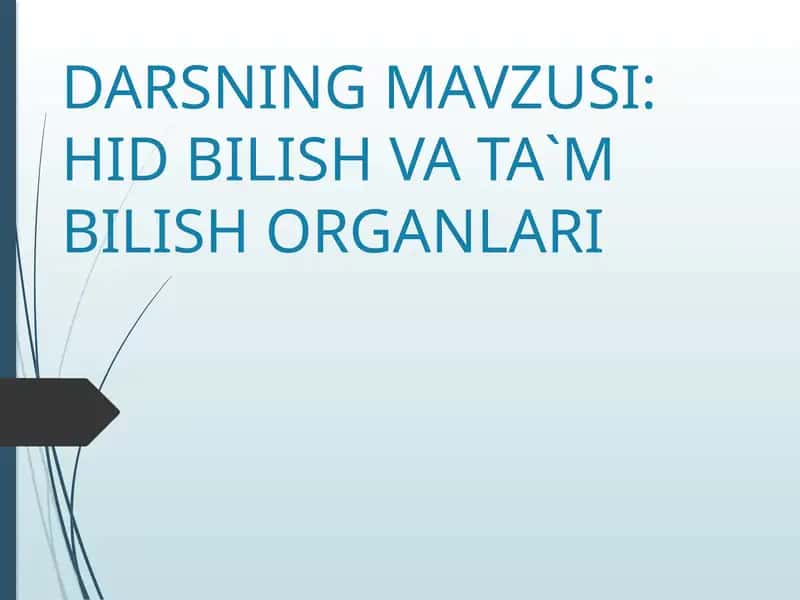 HID BILISH VA TA`M BILISH ORGANLARI 1