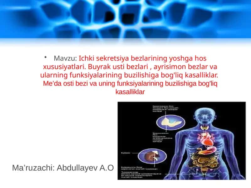 Ichkisekretsiyabezlariningyoshgahosxususiyatlari 1