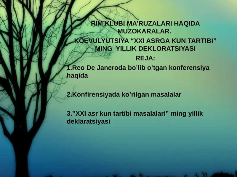 KOEVULYUTSIYA "XXI ASRGA KUN TARTIBI" MING YILLIK DEKLORATSIYASI 1