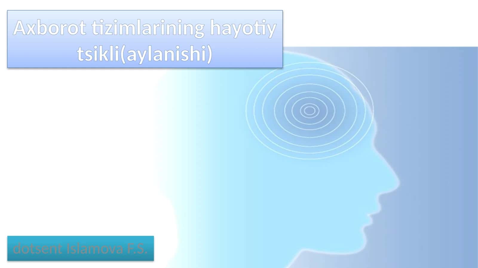 Axborot tizimlarining hayotiy tsikli (aylanishi) 1