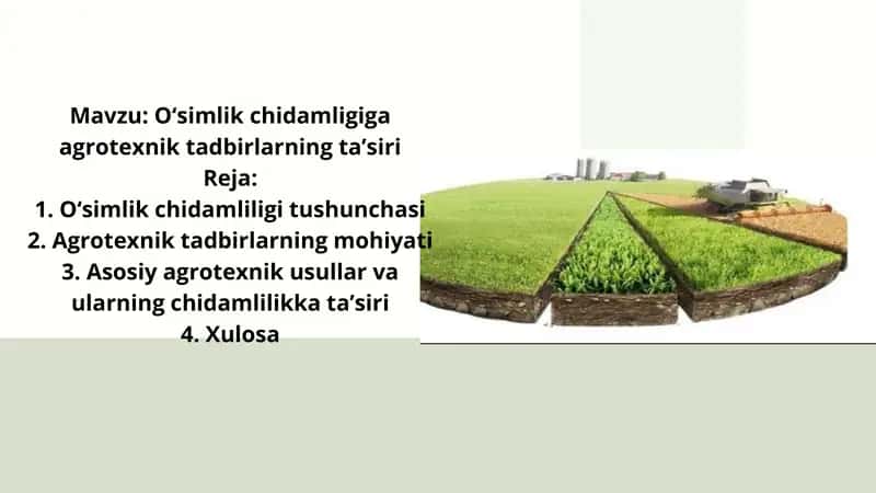 O‘simlik chidamligiga agrotexnik tadbirlarning ta’siri 1